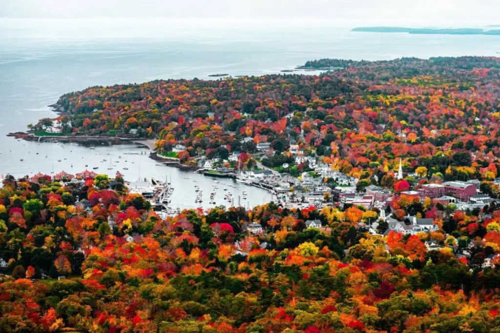 Air Gun Laws in Maine