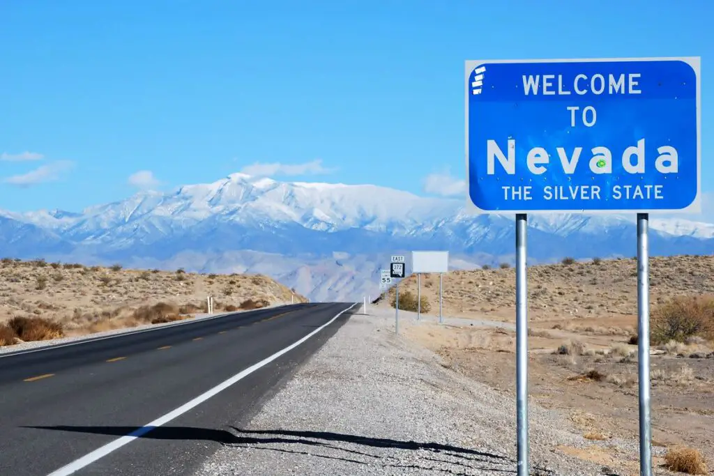Air Gun Laws in Nevada