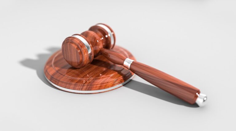 A gavel on a white background, representing courtroom procedures.